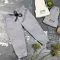 Штани дитячі джоггери Organic Cotton Gray