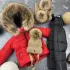 Комбінезон BEWARM Umka Red-black дитячий зимовий роздільний