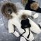 Комбінезон BEWARM Kodiaq суцільний White velvet