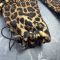 Спортивний дитячий костюм DubleFleece BEWARM Leo