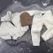 Спортивний дитячий костюм For Relax Polar Fleece BEWARM milk
